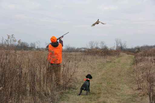 Buckeye Pheasant Hunting Preserve