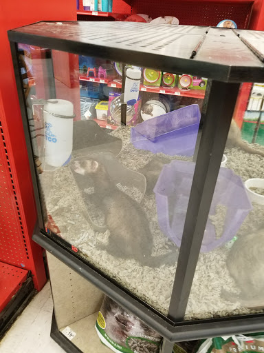 Pet Supply Store «Petco Animal Supplies», reviews and photos, 9078 SE Sunnyside Rd, Clackamas, OR 97015, USA