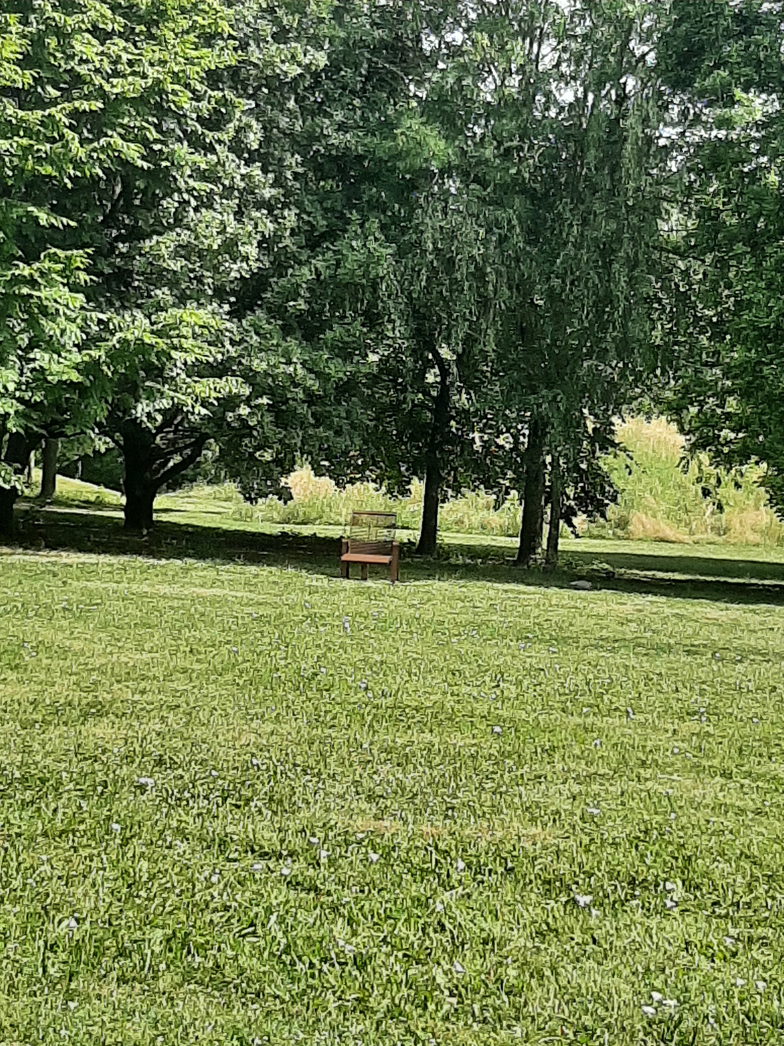 Photo n° 4 de l'avis de Aurore.e fait le 18/06/2022 à 19:57