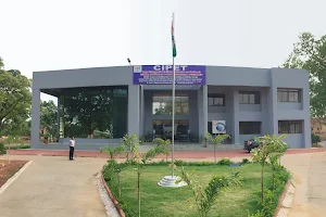 Central Institute of Petrochemical Engineering and Technology, Ranchi image