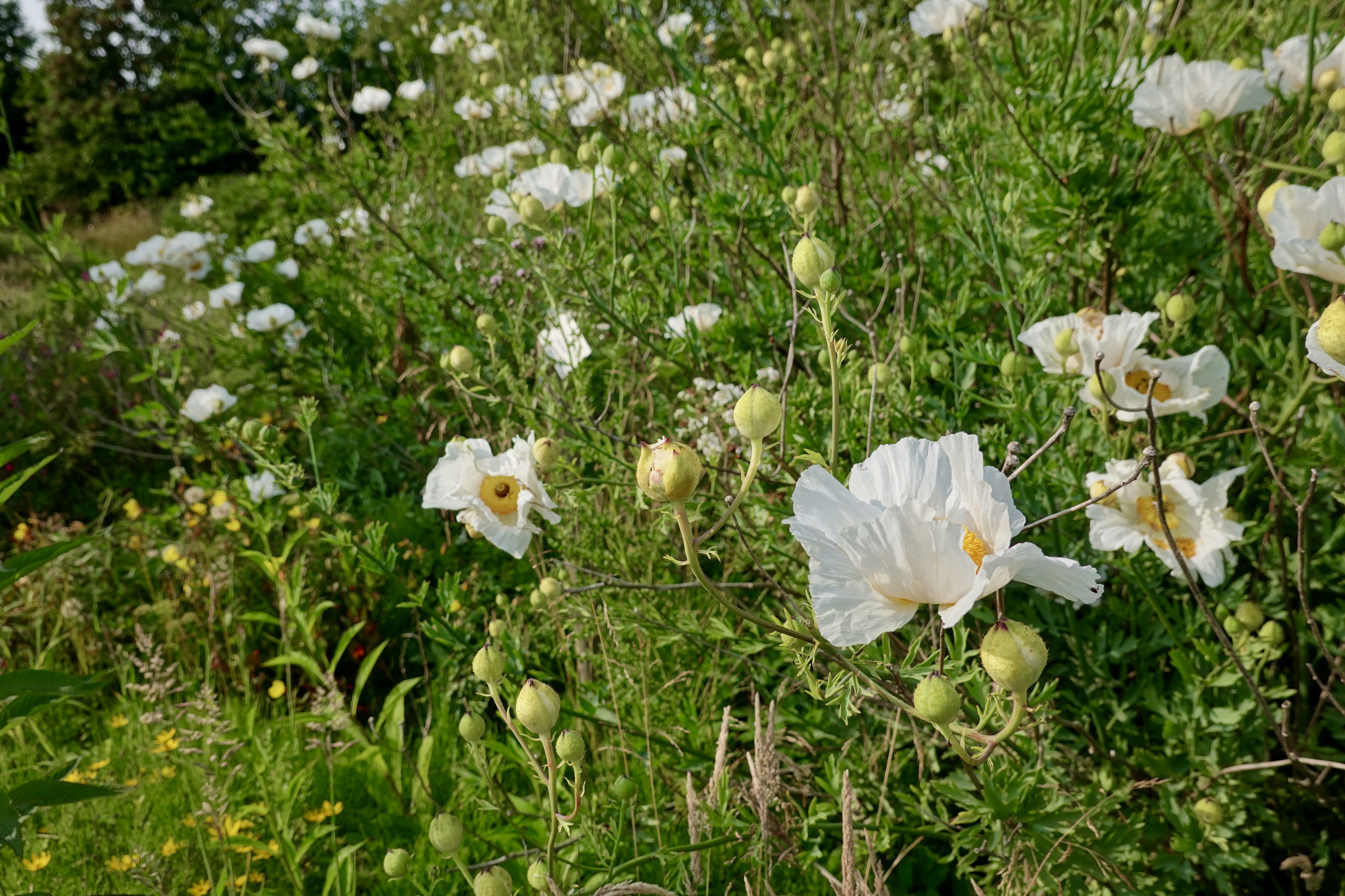Photo n° 2 de l'avis de Frederic.I fait le 26/06/2020 à 16:37