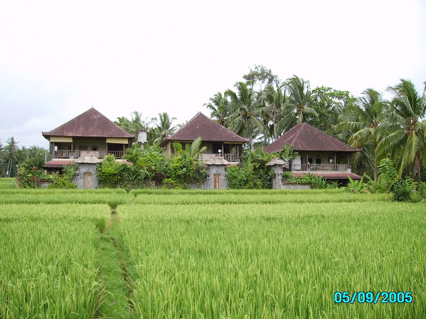 Villa Tigarumah Ubud Bali