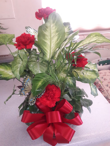 Florist «Ibritz Flower Decoratif», reviews and photos, 6130 Massachusetts Ave, New Port Richey, FL 34653, USA