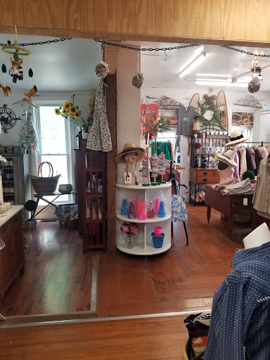 Gift Shop «Kelleys Island General Store», reviews and photos, 118 Division St, Kelleys Island, OH 43438, USA