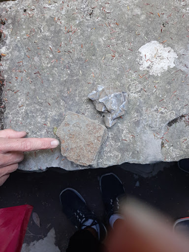 Tour Agency «Experience! The Finger Lakes», reviews and photos, 501 Warren Rd, Ithaca, NY 14850, USA