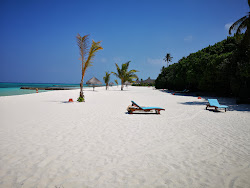 Foto von Strand der Insel Kanifushi hotelbereich