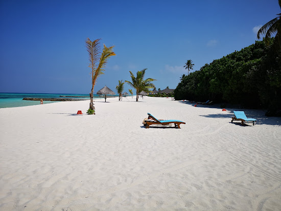 Strand der Insel Kanifushi