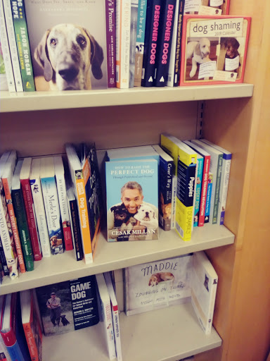 Barnes & Noble image