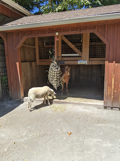 Retreat Center «Refreshing Mountain Retreat and Adventure Center», reviews and photos, 455 Camp Rd, Stevens, PA 17578, USA