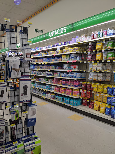 Pharmacy «Discount Drug Mart», reviews and photos, 24485 Lorain Rd, North Olmsted, OH 44070, USA