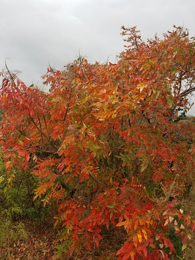 Recreation Center «Secaucus Rec Center Services», reviews and photos, 1200 Koelle Blvd, Secaucus, NJ 07094, USA