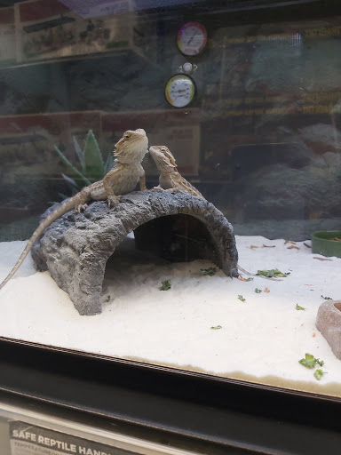 Pet Supply Store «Petco Animal Supplies», reviews and photos, 19 Shining Willow Way, La Plata, MD 20646, USA