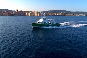 The Green Boats image