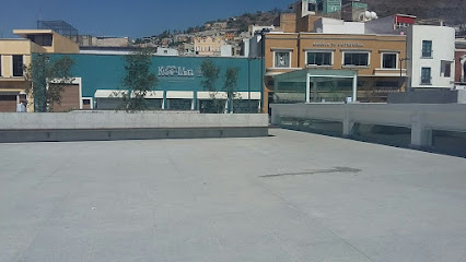 Modelo de negocio
