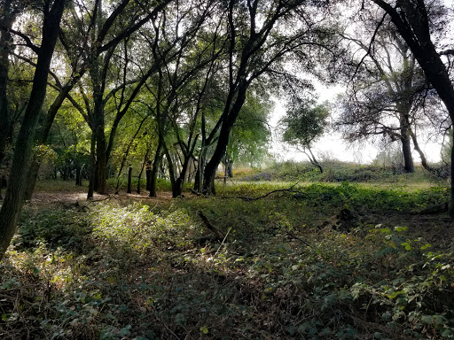 Lodi Lake Wilderness Area