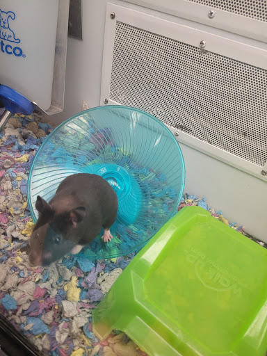 Pet Supply Store «Petco Animal Supplies», reviews and photos, 1951 N Military Trl c, West Palm Beach, FL 33409, USA