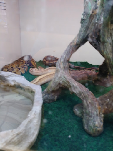 Pet Supply Store «Pet Supplies Plus», reviews and photos, 209 Towne Dr, Elizabethtown, KY 42701, USA