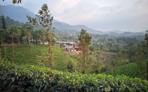 Kakkadampoyil.hills view vythiri image