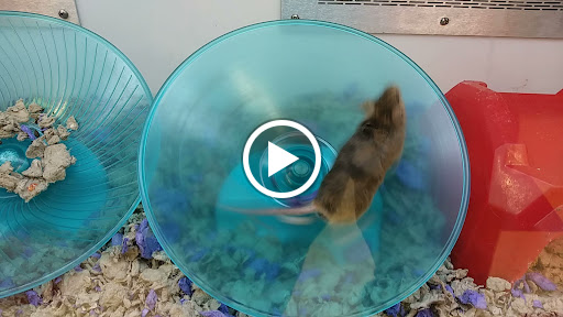 Pet Supply Store «Petco Animal Supplies», reviews and photos, 169 Parkingway, Quincy, MA 02169, USA