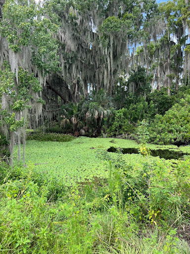 Nature Preserve «Marshall Hampton Reserve», reviews and photos, 3115 Thornhill Rd, Winter Haven, FL 33880, USA