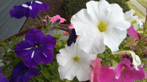 Supermarket «ALDI», reviews and photos, 1600 W 117th St, Lakewood, OH 44107, USA