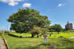Magome riv. Kamijima Ryokuchi Park image