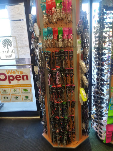 Dollar Store «Dollar Tree», reviews and photos, 340 Walmart Way, Dahlonega, GA 30533, USA