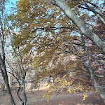 Photo n°4 de l'avis de Ivo.a fait le 28/11/2023 à 10:17 sur le  Malga Cimana à Villa Lagarina