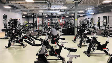 Siłownia i klub fitness Bytom | Well Fitness - Karpacka 1A, 41-907 Bytom, Poland