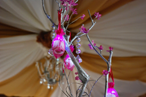 Banquet Hall «Studio305 Reception Hall», reviews and photos, 12039 SW 132nd Ct #7, Miami, FL 33186, USA