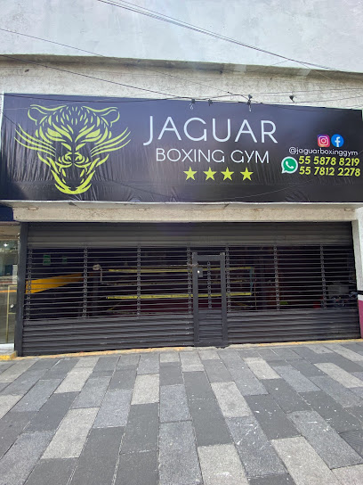 Jaguar Boxing Gym Roma - Av. Insurgentes Sur 217, Roma Nte., Cuauhtémoc, 06700 Ciudad de México, CDMX, Mexico