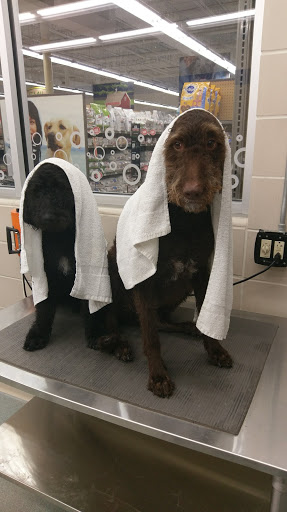 Pet Supply Store «Petco Animal Supplies», reviews and photos, 41 Narrows Shopping Center, Edwardsville, PA 18704, USA