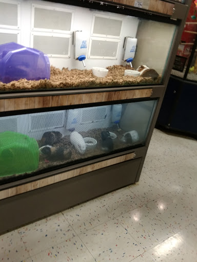 Pet Supply Store «Petco Animal Supplies», reviews and photos, 325 Paul Huff Parkway, Cleveland, TN 37312, USA