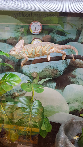 Pet Supply Store «Petco Animal Supplies», reviews and photos, 1141 Wantagh Ave, Wantagh, NY 11793, USA