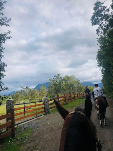 Camping, Cabalgatas y Quincho Las Tranqueras - Camping