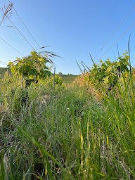 Photo n°67 de Calsis Restaurant à Aÿ-Champagne ()