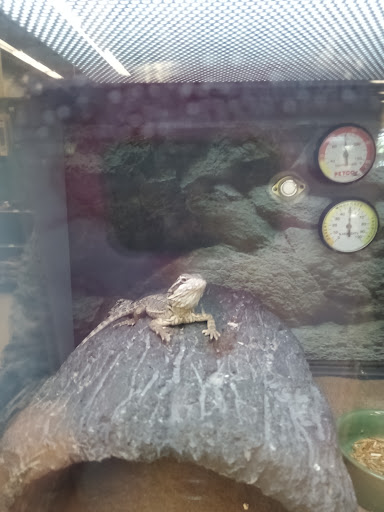 Pet Supply Store «Petco Animal Supplies», reviews and photos, 1704 US Hwy 27 S, Sebring, FL 33870, USA