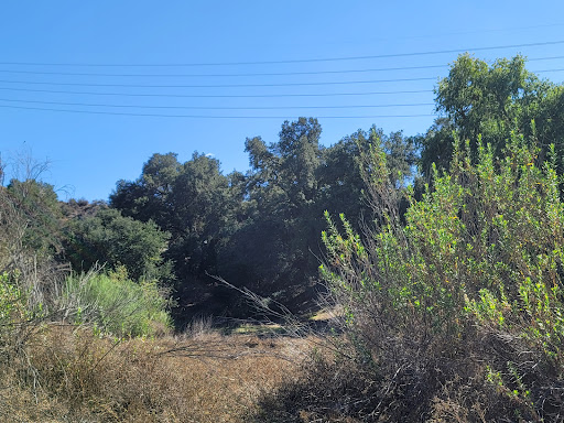 Cienega Canyon Preserve