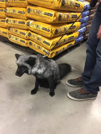 Pet Supply Store «The Animal Park Marketplace», reviews and photos, 744 W Riverdale Rd, Riverdale, UT 84405, USA