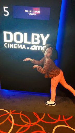 Movie Theater «AMC Magic Johnson Harlem 9», reviews and photos, 2309 Frederick Douglass Blvd, New York, NY 10027, USA