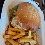 Photo n° 1 de l'avis de Emmanuelle.a fait le 07/04/2024 à 08:30 pour COQUILLE à Arcachon