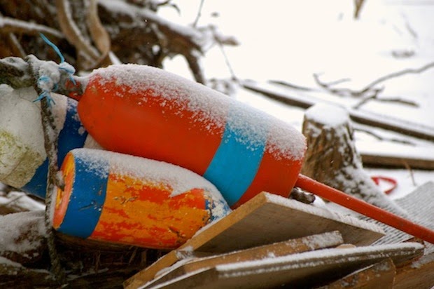 Bayley's Seafood Restaurant 04074