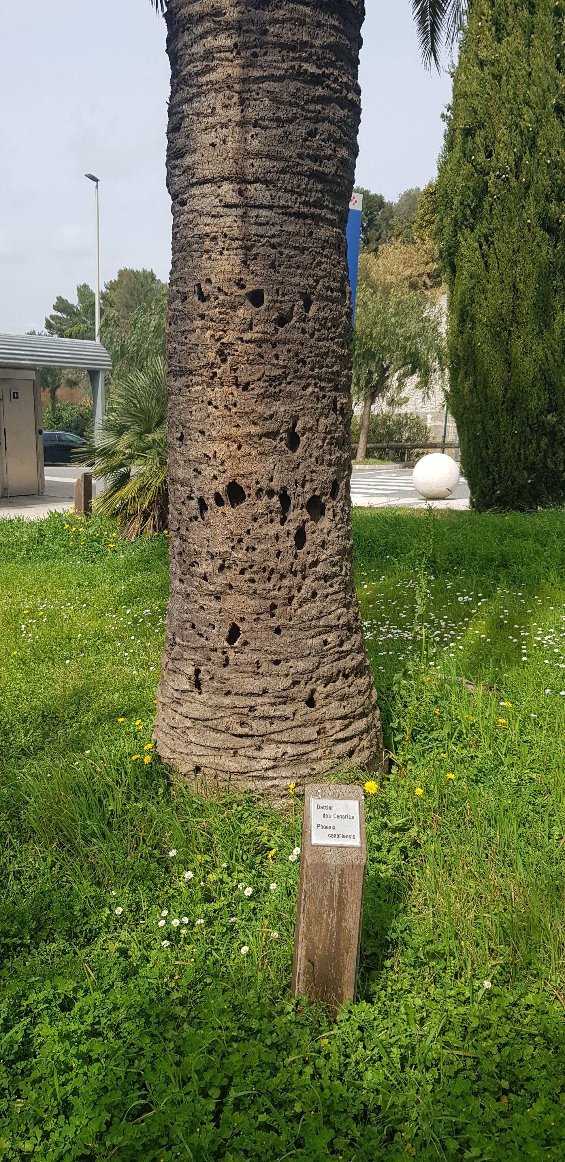 Photo n° 9 de l'avis de Klato.e fait le 10/04/2022 à 18:43