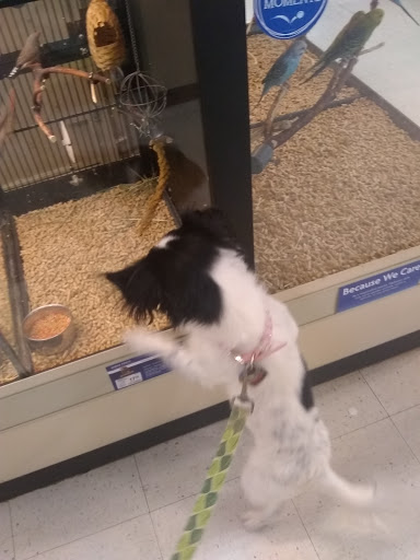 Pet Supply Store «PetSmart», reviews and photos, 105 Wagner Rd, Monaca, PA 15061, USA