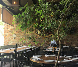 ALOHA ENSALADAS photo