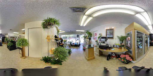 Florist «Four Seasons Floral», reviews and photos, 2087 Drew St, Clearwater, FL 33765, USA