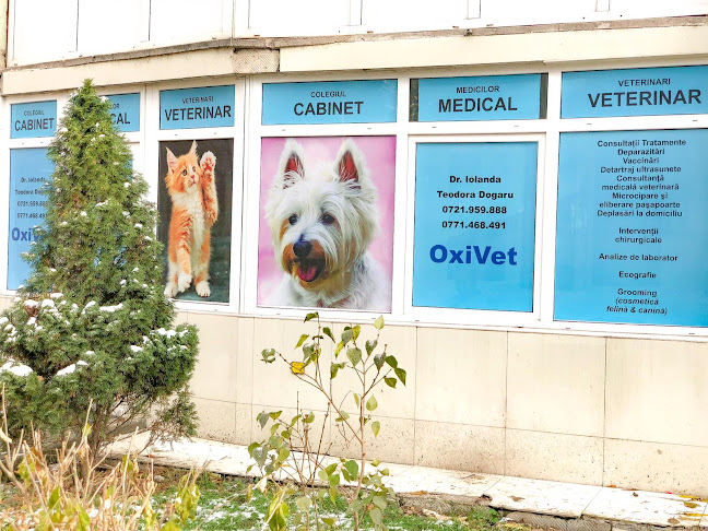 OXIVET Cabinet Veterinar Valcea, Veterinar Ramnicu Valcea,Vaccinari Caini, Microcipari,Deparazitari - Veterinar