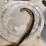 Photo n°1 de l'avis de Marina.o fait le 05/03/2022 à 15:03 sur le  Casa das Enguias à Montijo