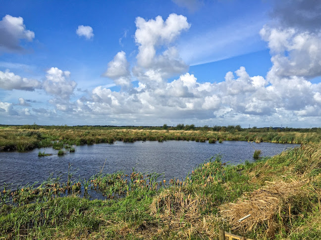 Comments and reviews of Lunt Meadows Nature Reserve