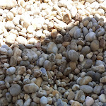 Photo n°2 de l'avis de Nicolò.o fait le 21/08/2019 à 11:17 sur le  Vignanotica Beach à Vieste